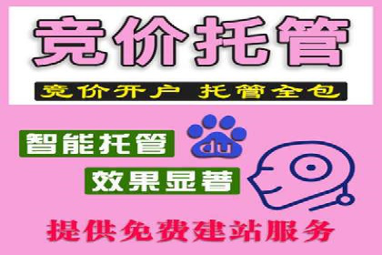 开户返点模式在电商行业的成功案例